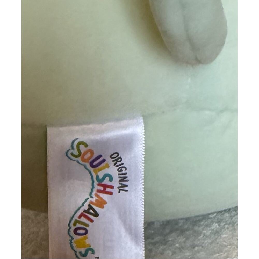 Squishmallows Chase the Cat 7" Stuffed Plush 2022 Mint Green Soft Plushie - Picture 3 of 4